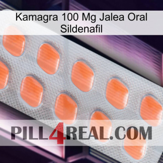 Kamagra 100 Mg Oral Jelly Sildenafil 26